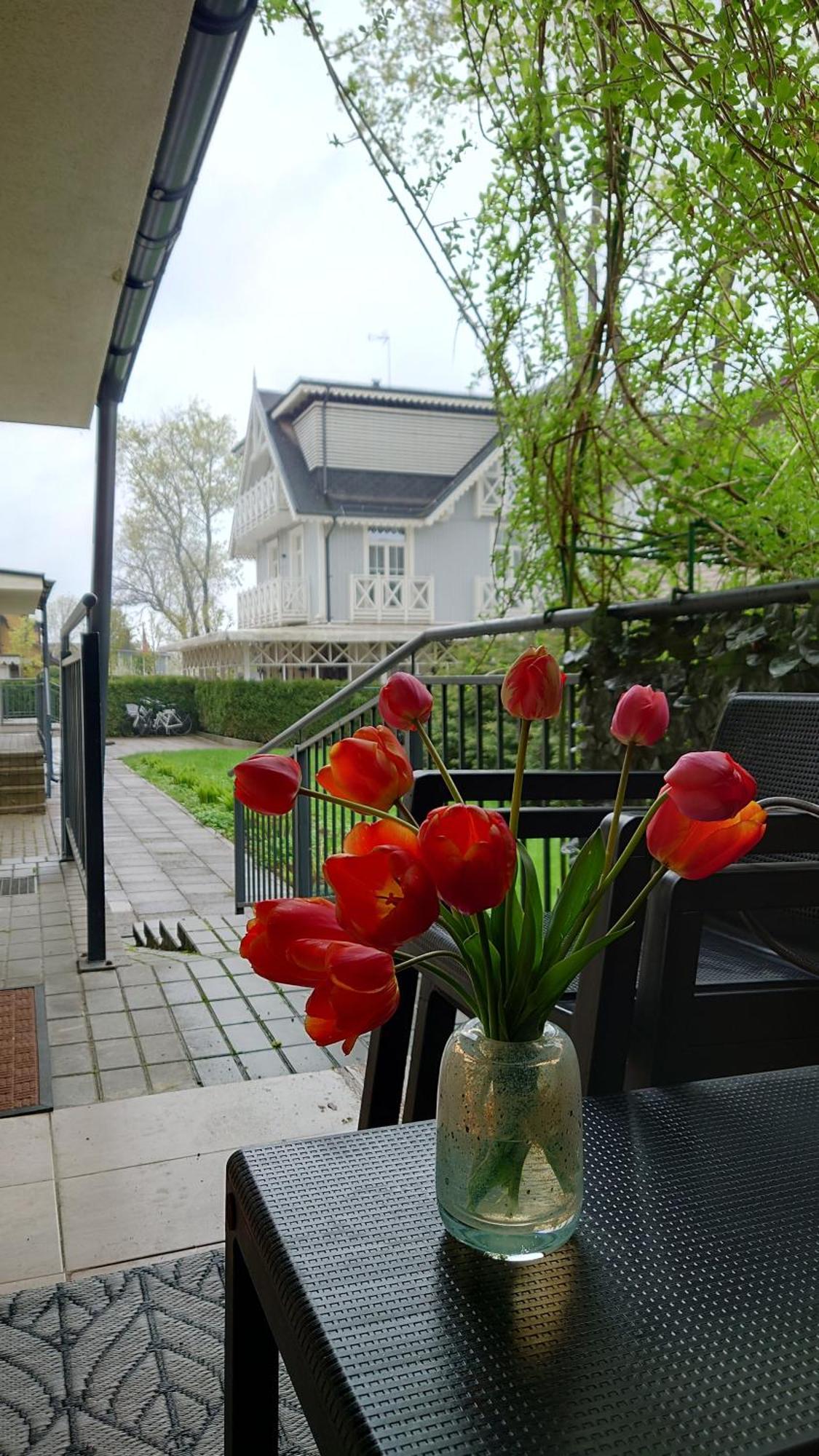 Druskininku Pasaga Druskininkai Dış mekan fotoğraf